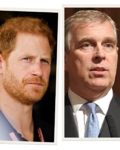 Prince Harry Refutes Claims of Physical Confrontation with Prince Andrew